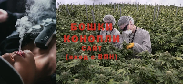 трава Бронницы